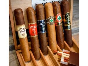 Joya de Nicaragua Robusto 6 Cigar – Sampler Box
